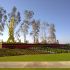 Banksia Grove Final